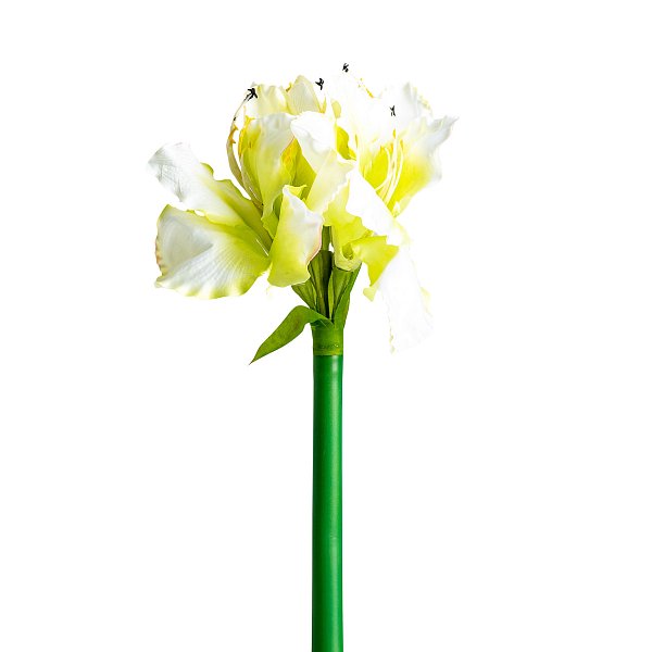 Цветок AMARYLLIS цвет белый Vical