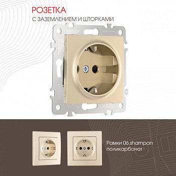 Розетка Arte Milano 206.40-1.shampan