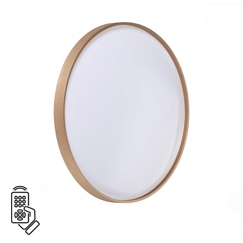 Настенно-потолочный светильник Sonex 7783/EL