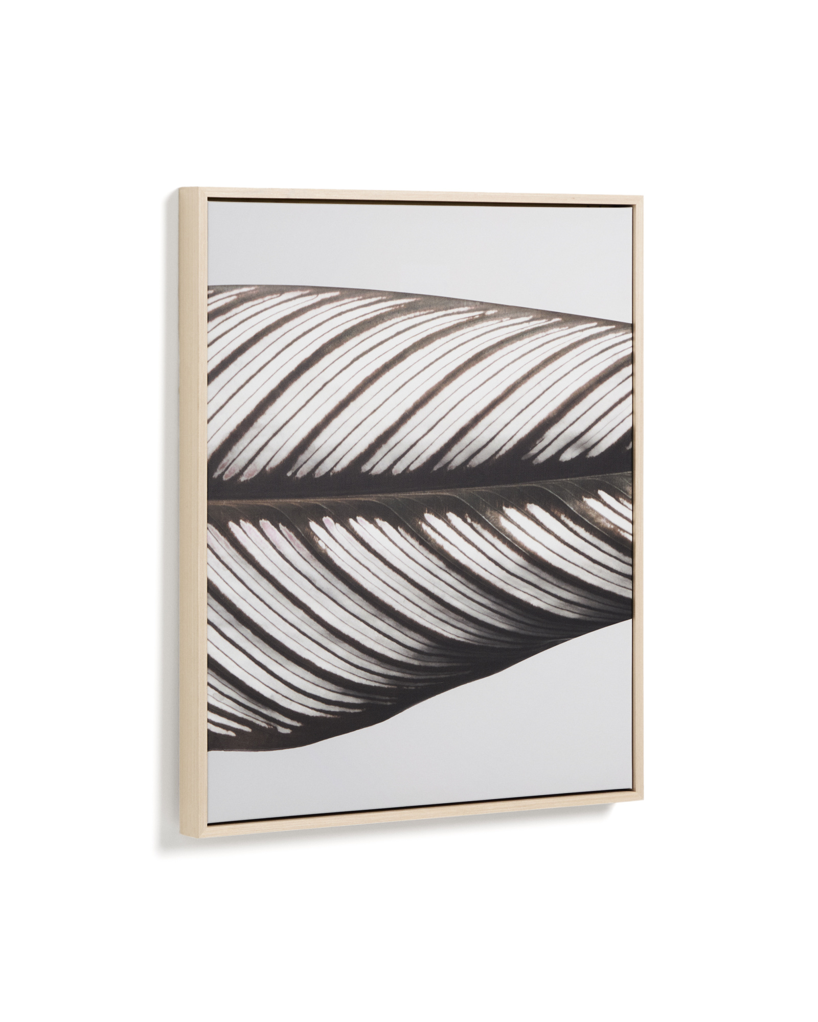 Фотография листа Foliae размер 52,5 x 62,5 см La Forma 481679