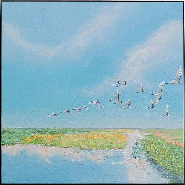 Картина в рамке KARE Birds 53889