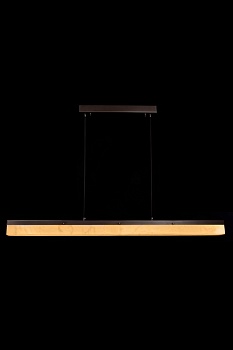 Подвесной светильник Fluorite FL1014-1P-BK