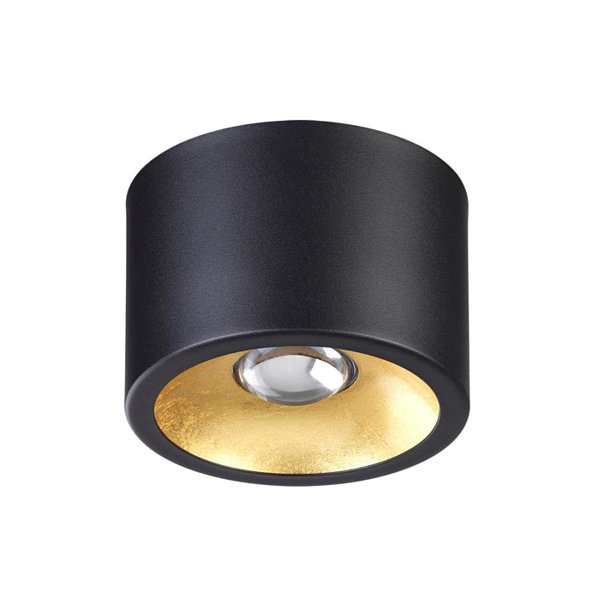 Потолочный накладной светильник Odeon Light 3878/1CL