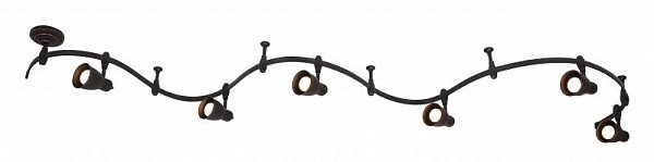 Светильник потолочный A3058PL-6BK Arte Lamp