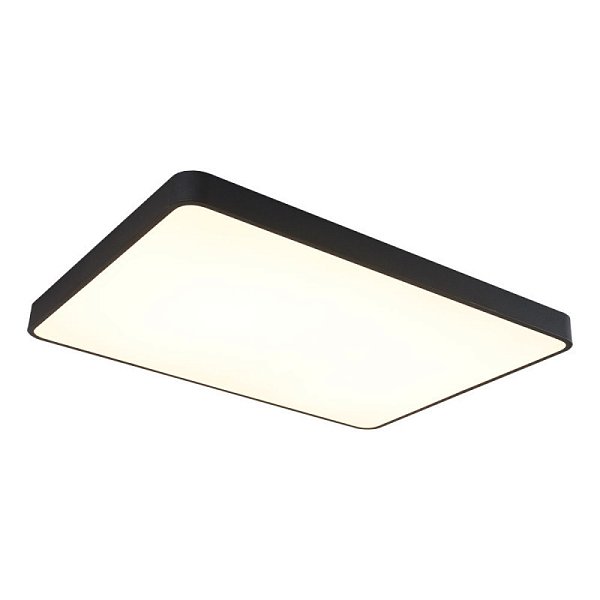 Накладной светильник Arte Lamp A2662PL-1BK