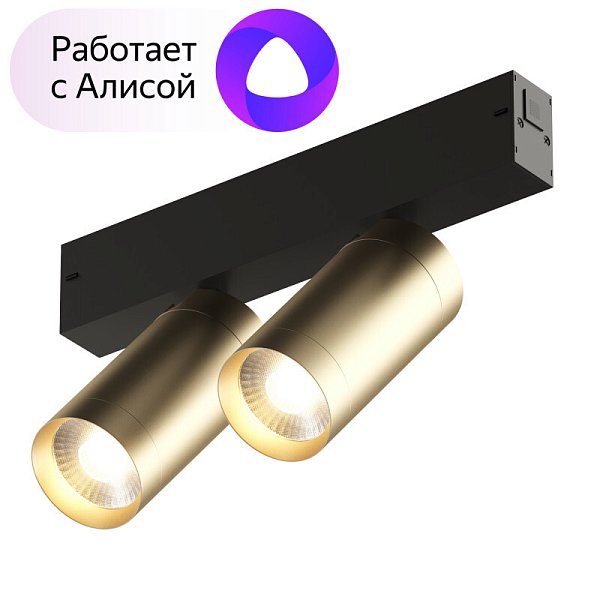 Светильник на шине Denkirs DK8012-BG