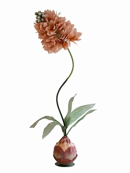 Растение декоративное Гиацинт Glasar F98606