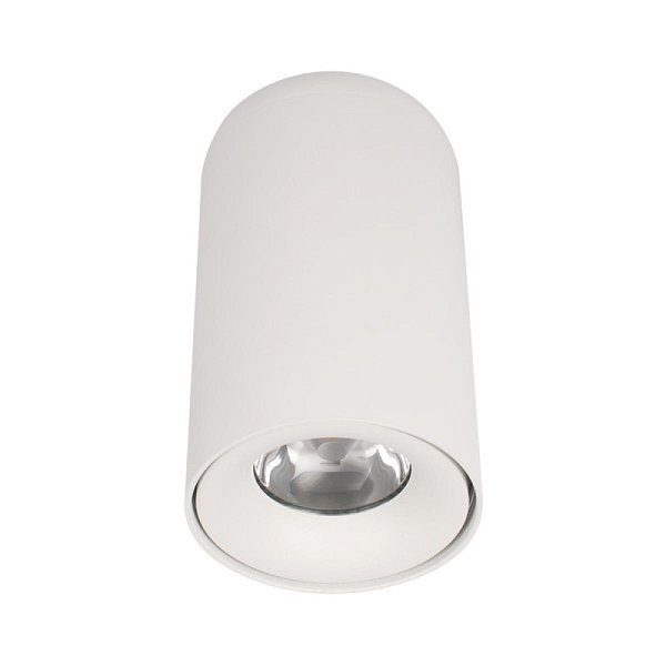 Накладной светильник LOFT IT 10220 White 4000K