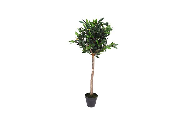 Дерево оливы в горшке Garda Decor 317220110