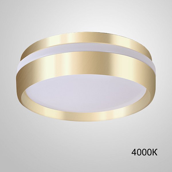 Потолочный светильник FAM 4000К by ImperiumLoft