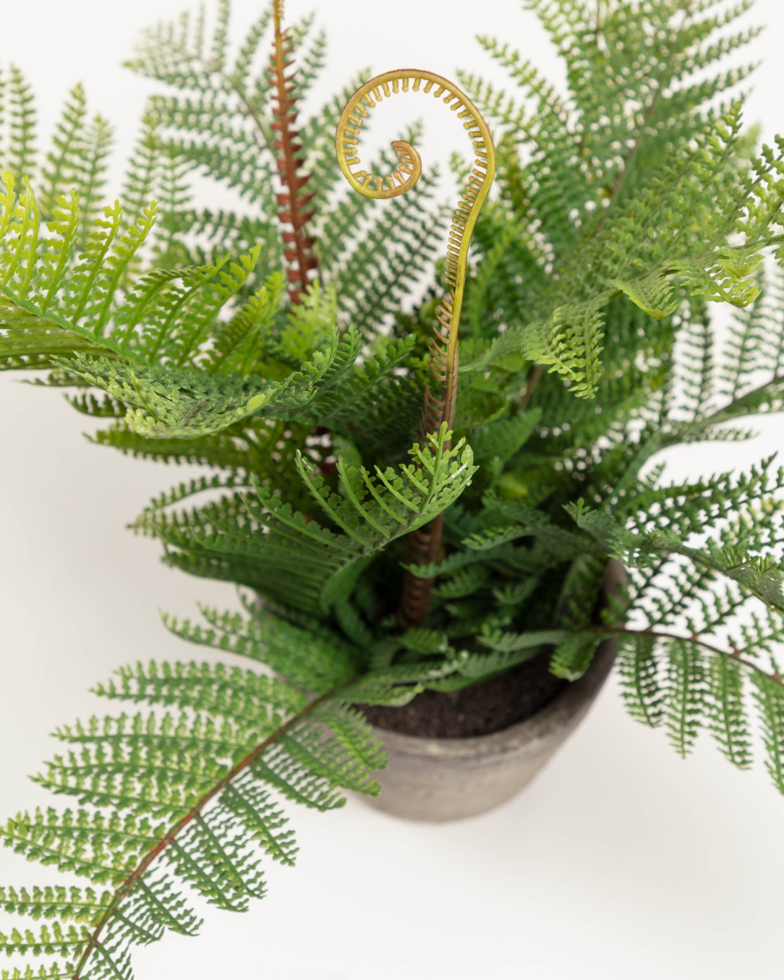 Flower Искусственный папоротник в горшке из цемента 35см La Forma (ex Julia Grup)