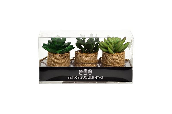 Набор из 3х суккулентов в упаковке Garda Decor 8J-18K0040