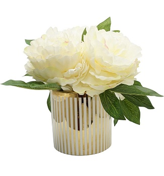 Растение декоративное Пион Glasar F4465-CREA