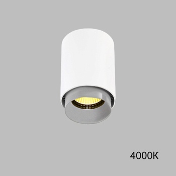 Точечный светильник RESTON White Grey 4000К by ImperiumLoft