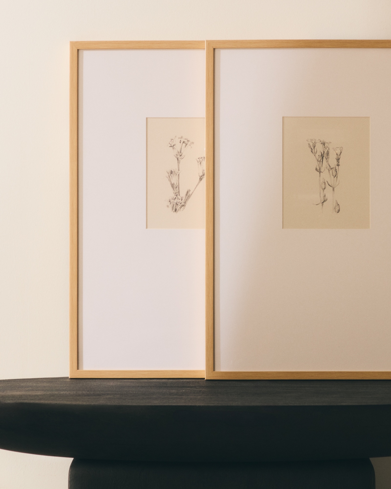 Картина Lirena с ботанической иллюстрацией 50 x 70 см La Forma (ex Julia Grup)