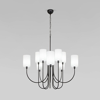 Подвесная люстра Eurosvet 60164/10 черный