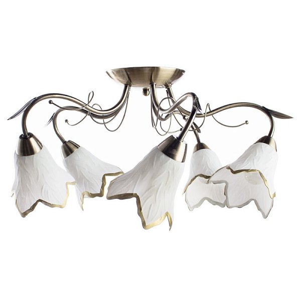 Накладная люстра Arte Lamp A6066PL-5AB