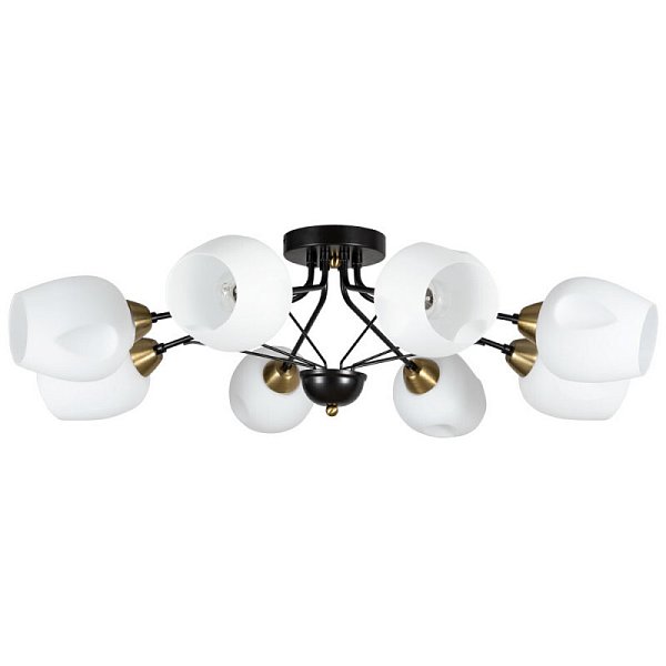 Накладная люстра Arte Lamp A2706PL-8CK