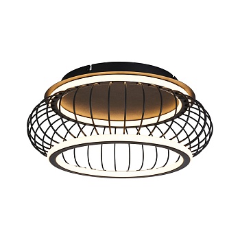 Накладной светильник F-Promo 4435-2C