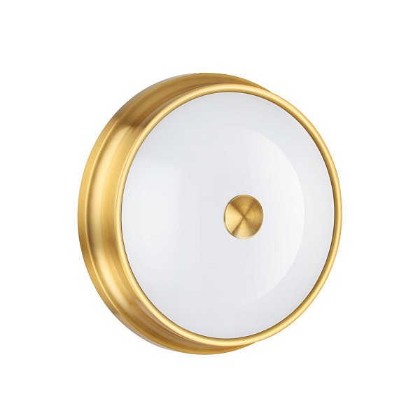 Настенно-потолочный светильник Odeon Light 4824/3C