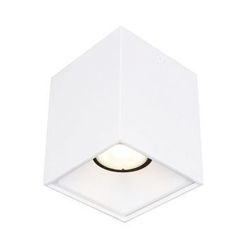 Накладной светильник ST-Luce ST168.502.01