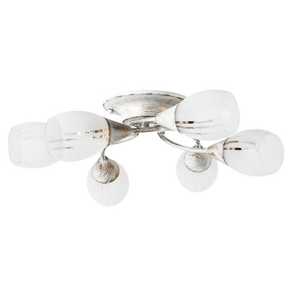 Накладная люстра Arte Lamp A2701PL-6WG