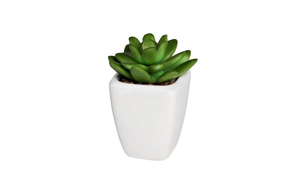 Суккулент в горшке Garda Decor 8J-1735124