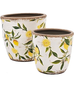 Кашпо с лимонами, набор Glasar C5609