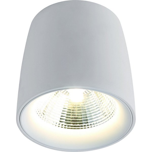 Накладной светильник Divinare 1312/03 PL-1