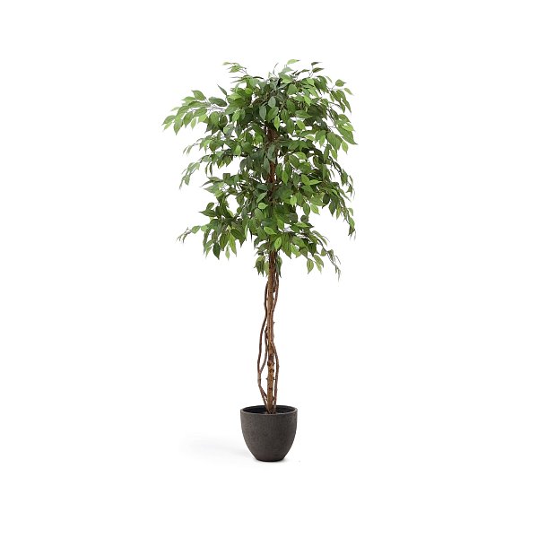 Ficus Искусственное дерево фикус в черном горшке 180 см La Forma (ex Julia Grup)