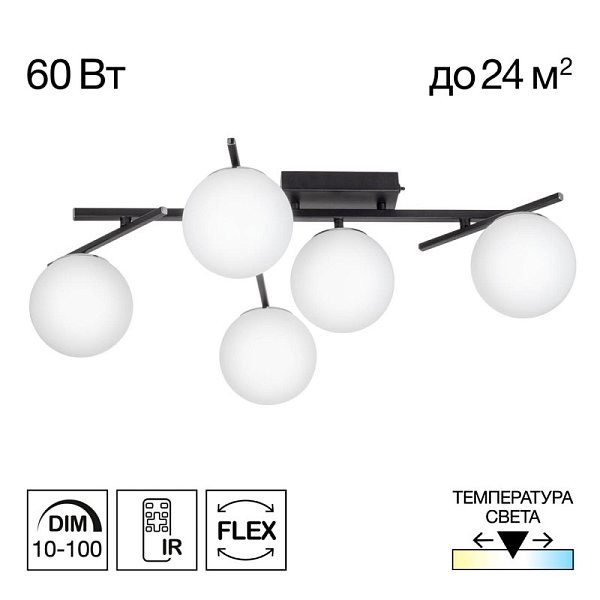 Накладная люстра Citilux CL223152