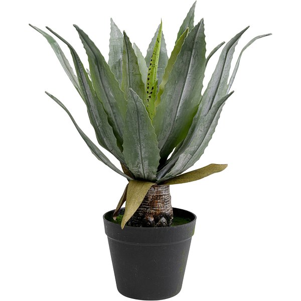 Растение декоративное Agave 40 см KARE 55917