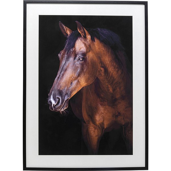 Картина в рамке Horse 53045 Kare