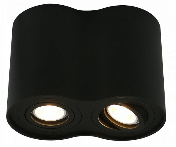 Накладной светильник Arte Lamp A5644PL-2BK