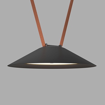 Светильник на шине Denkirs DK5565-BK