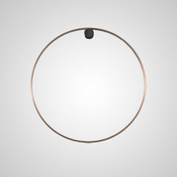 Настенный светильник WILD RING A D80 Brass by ImperiumLoft