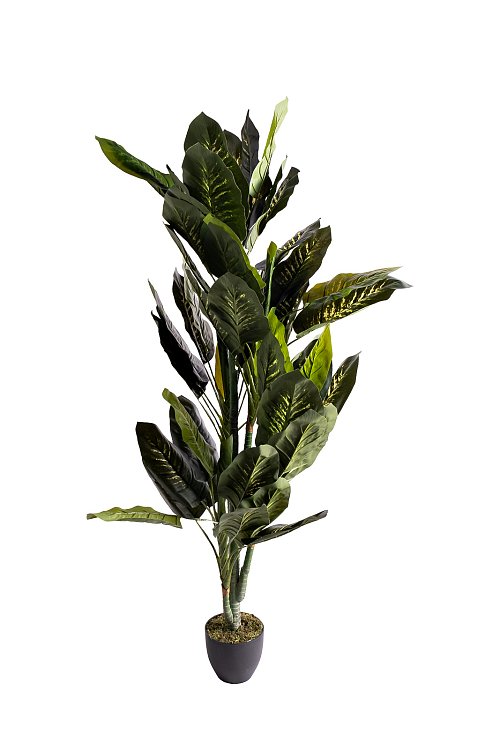 Диффенбахия искусственная в горшке h170 Garda Decor 29BJ-819-170