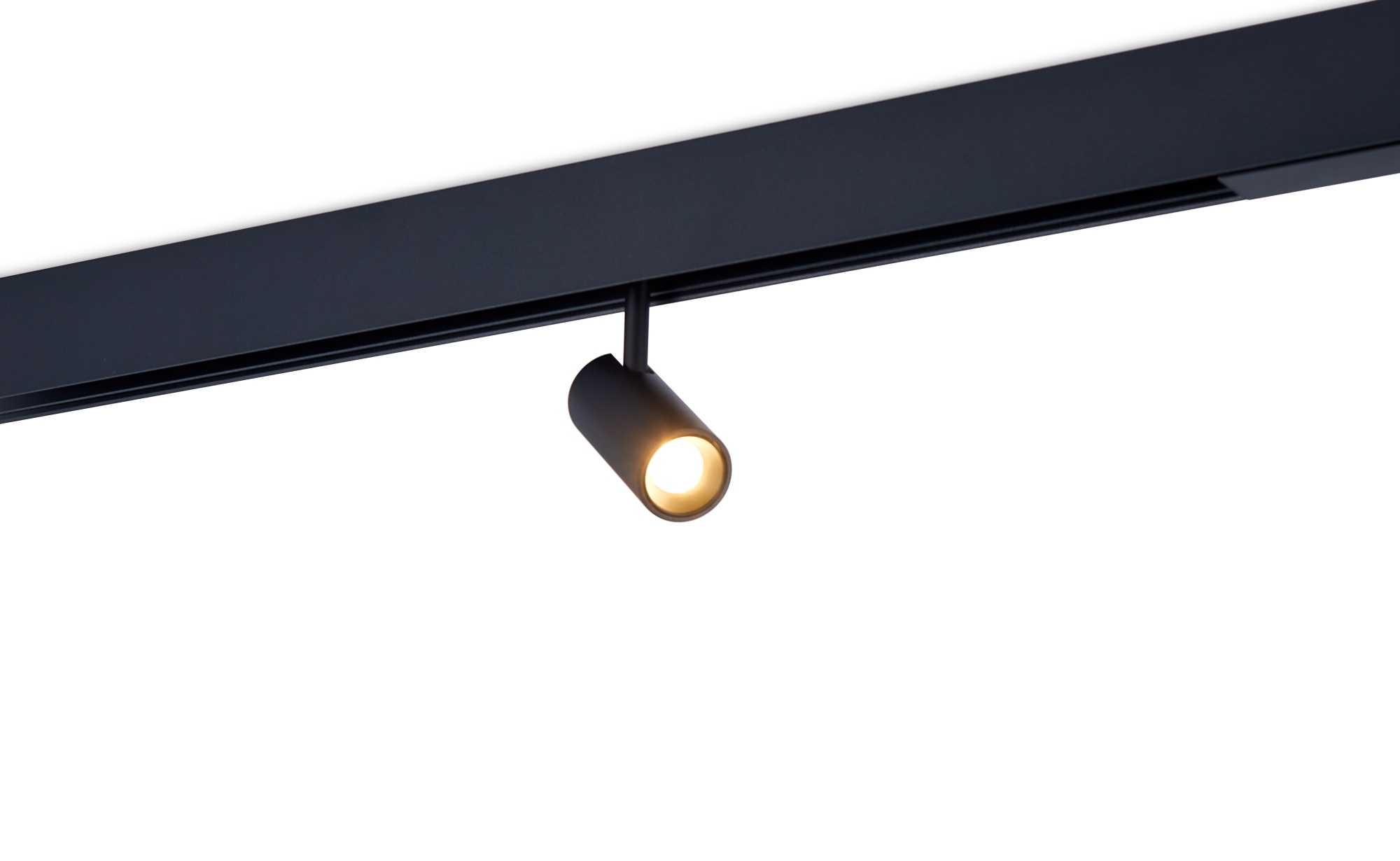 Светодиодный светильник Donolux DL20295WW5B