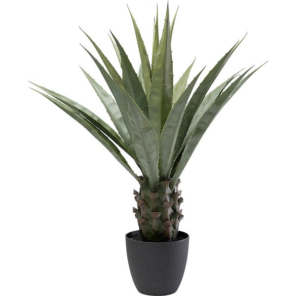 Растение декоративное Agave 85 см KARE 55915