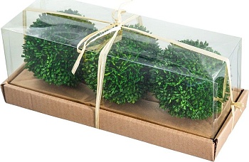 Шары декоративные Самшит, набор Glasar 58203