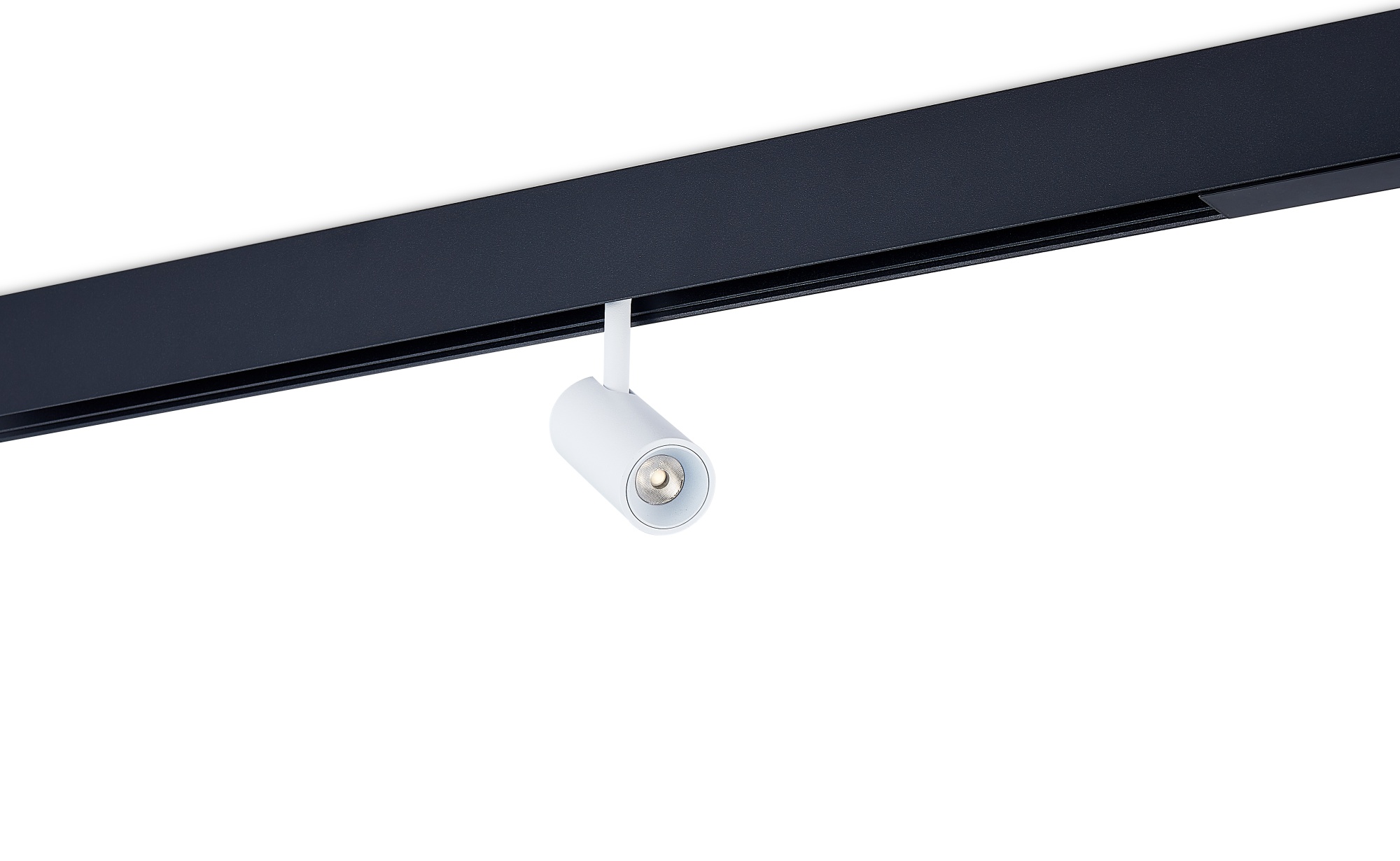 Светодиодный светильник Donolux DL20295WW5WB