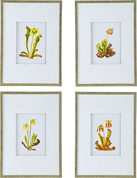 Панно Флора, Glasar SM49995