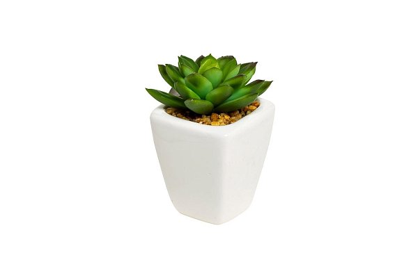 Суккулент в горшке Garda Decor 8J-1735382