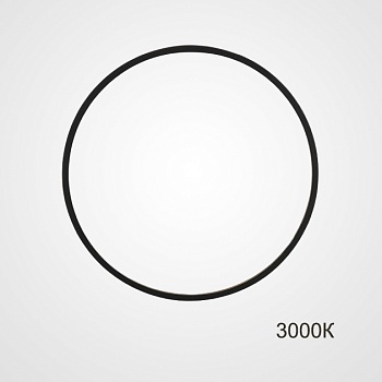 Настенный светильник GUARD D100 3000К by ImperiumLoft